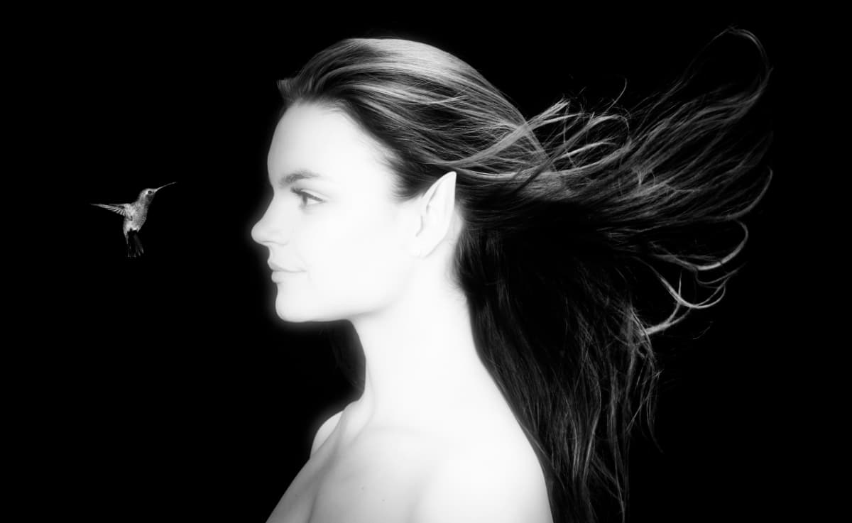 Fine art portrait with hummingbird by Kwaak Photography in Georgetown Ontario